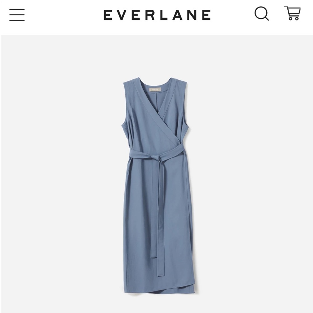Everlane The Japanese GoWeave Sleeveless Wrap Dress